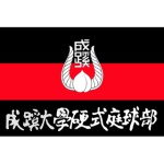 成蹊 テニス会